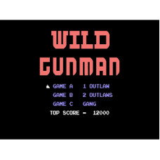 Wild Gunman