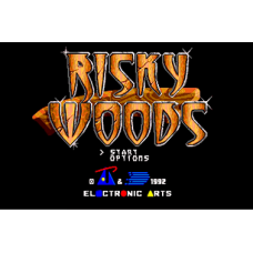 Risky Woods: 16-бит Сега